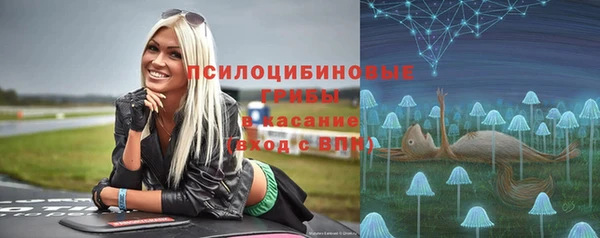 прущие крисы Абаза