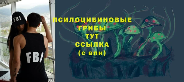 ГАЛЛЮЦИНОГЕННЫЕ ГРИБЫ Абдулино