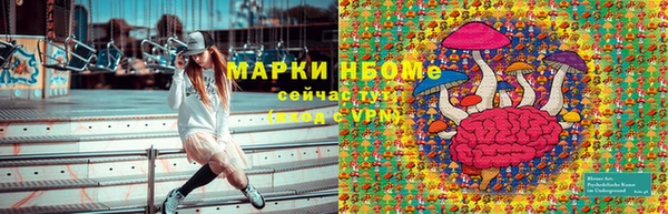 ГАЛЛЮЦИНОГЕННЫЕ ГРИБЫ Абдулино