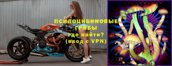 крисы Инта
