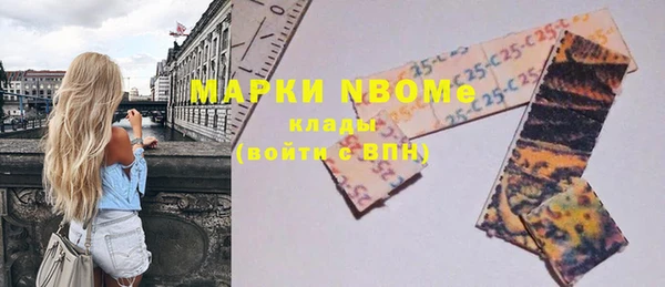 МДПВ Инсар