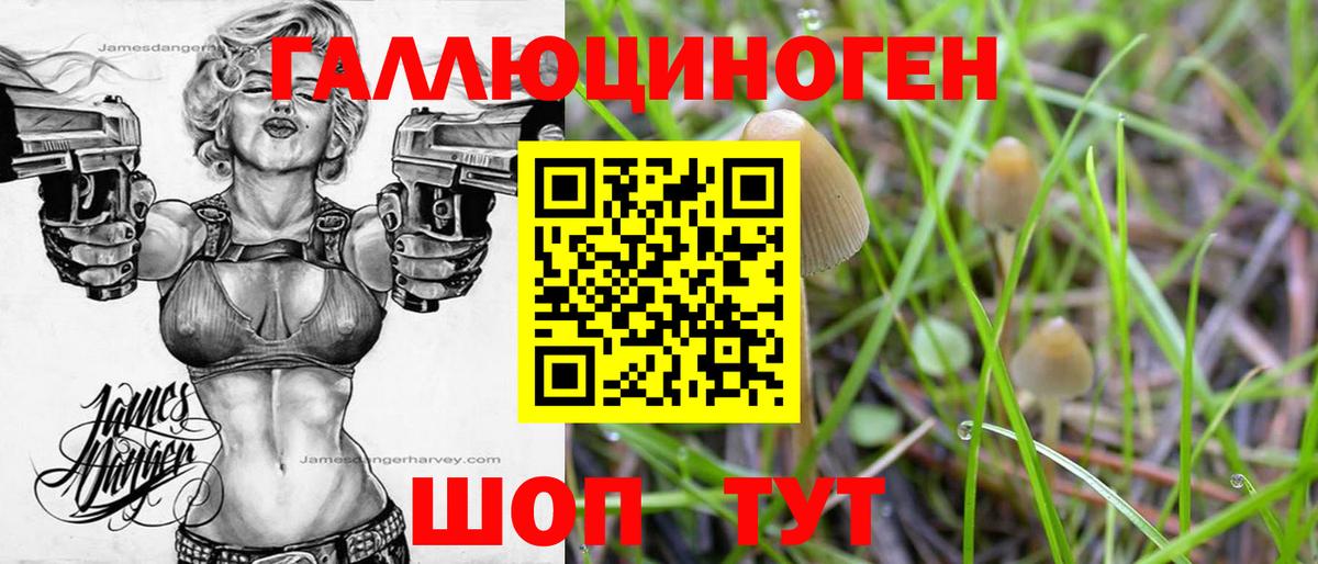 Псилоцибиновые грибы мицелий  Вход с VPN  закладки  Клинцы 
