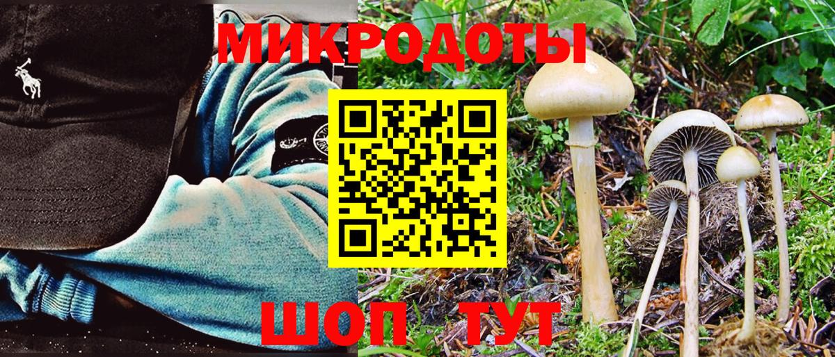 Галлюциногенные грибы Cubensis Клинцы